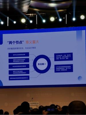 東北唯一！遼寧上線互聯(lián)網(wǎng)域名根服務(wù)器，兩大節(jié)點(diǎn)服務(wù)全民上網(wǎng)